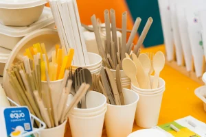 Eco-friendly event supplies for large gatherings